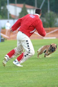 s'leon des plaines de Thiérache